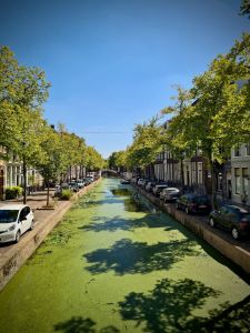 Looking along Oude Delft