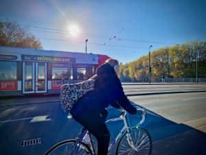 Tram on Wilhelm-Kaisen-Brücke
