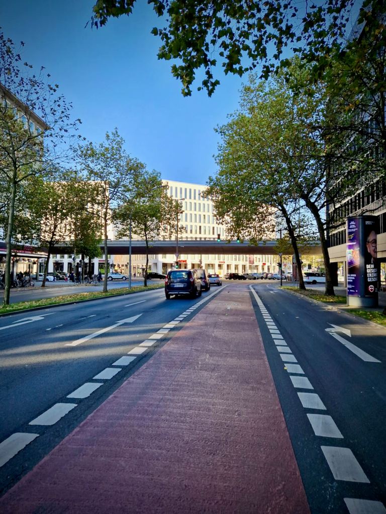 Suicide lane on Herdentorsteinweg