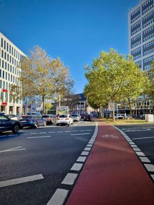Painted lane on Herdentorsteinweg
