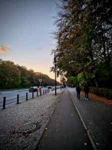 Asphalt cycle path next to the Tiergarten