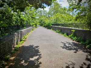 Bridge over Hiscocks Dr