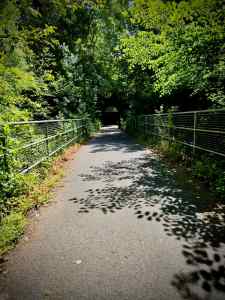 Riding along the path