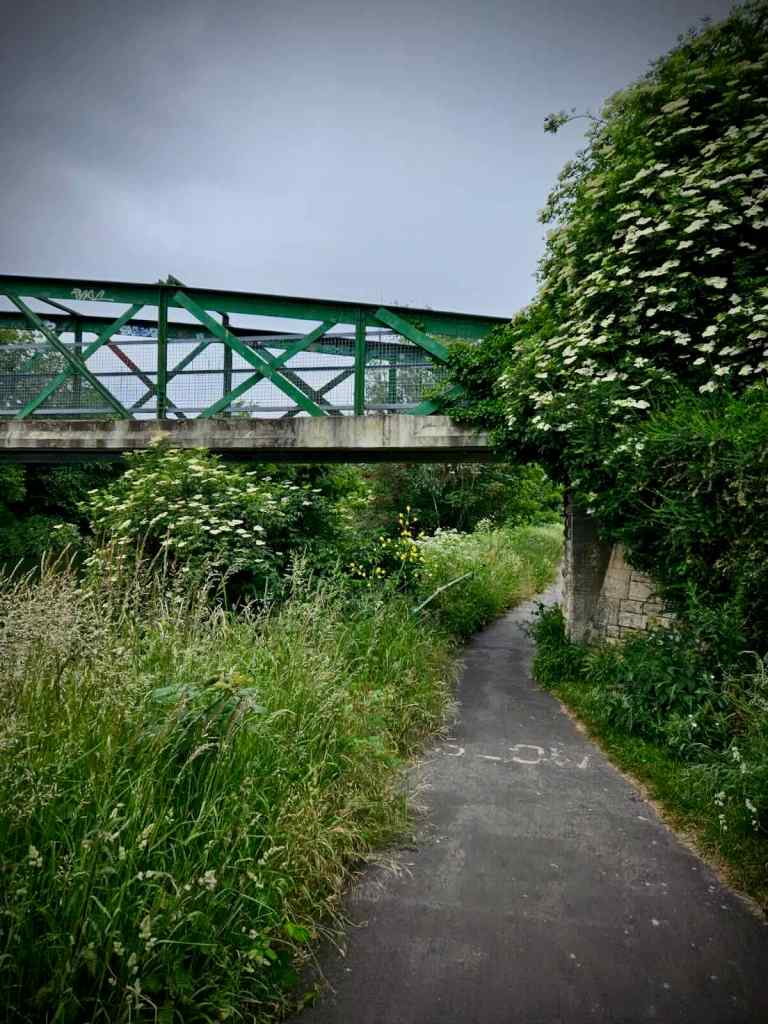 The Fieldings Road Footbridge from the path