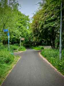Approaching a junction on the path
