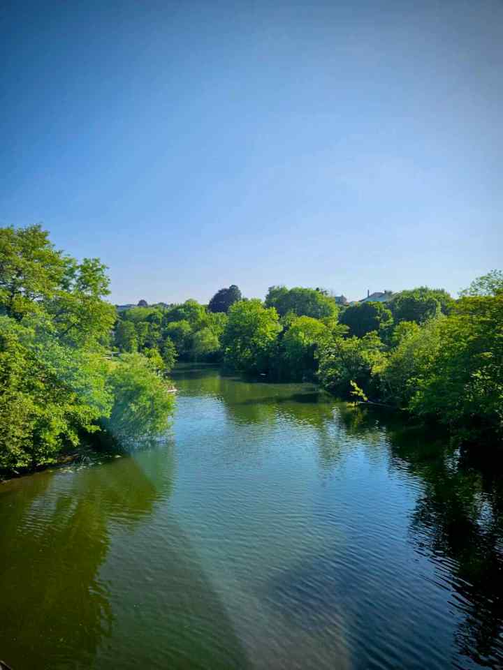 Looking out across the River Avon