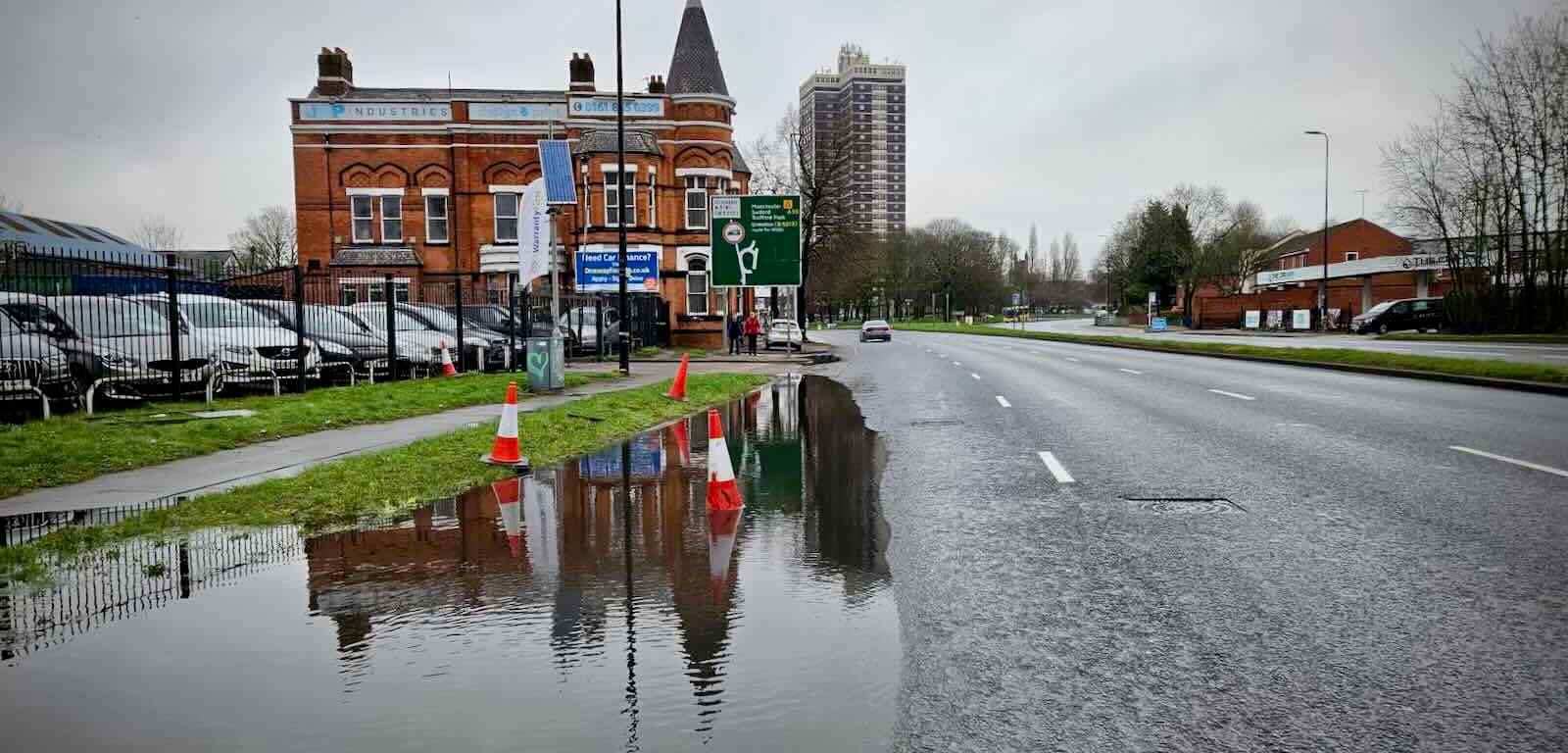 Abandoned cones at the dealership