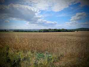 View from the Pilgrims' Way