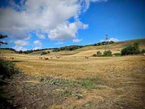 View from the Pilgrims' Way
