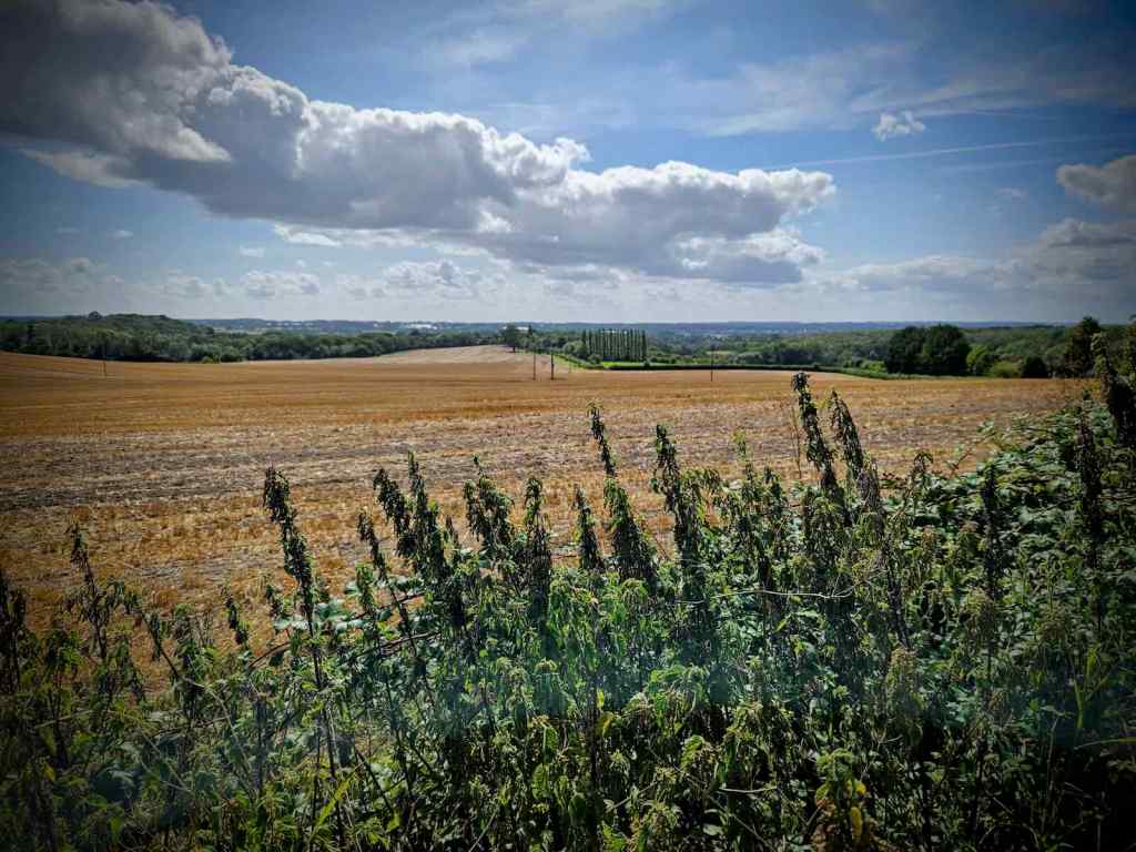 View from the Pilgrims' Way