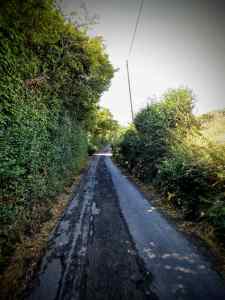 On the Pilgrims' Way