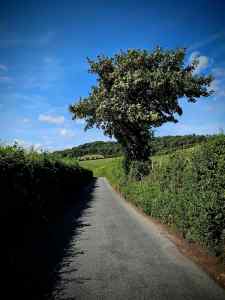 On the Pilgrims' Way