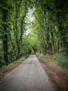 Continuing on the Pilgrims' Way