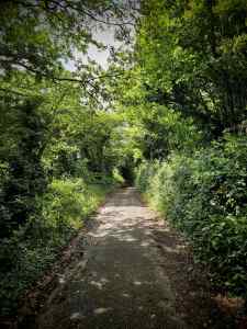 Gravel path on the Pilgrims' Way