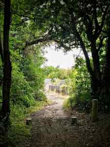 Approaching the bridge over HS1 line