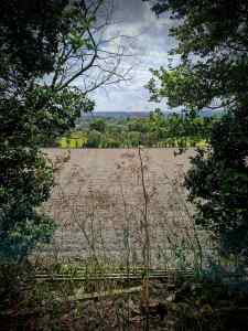 View from the North Downs Way