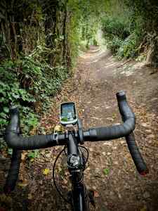 On the North Downs Way