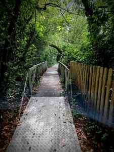 Short bridge on the Medway Towpath