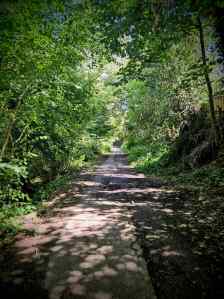 Path next to the River Len