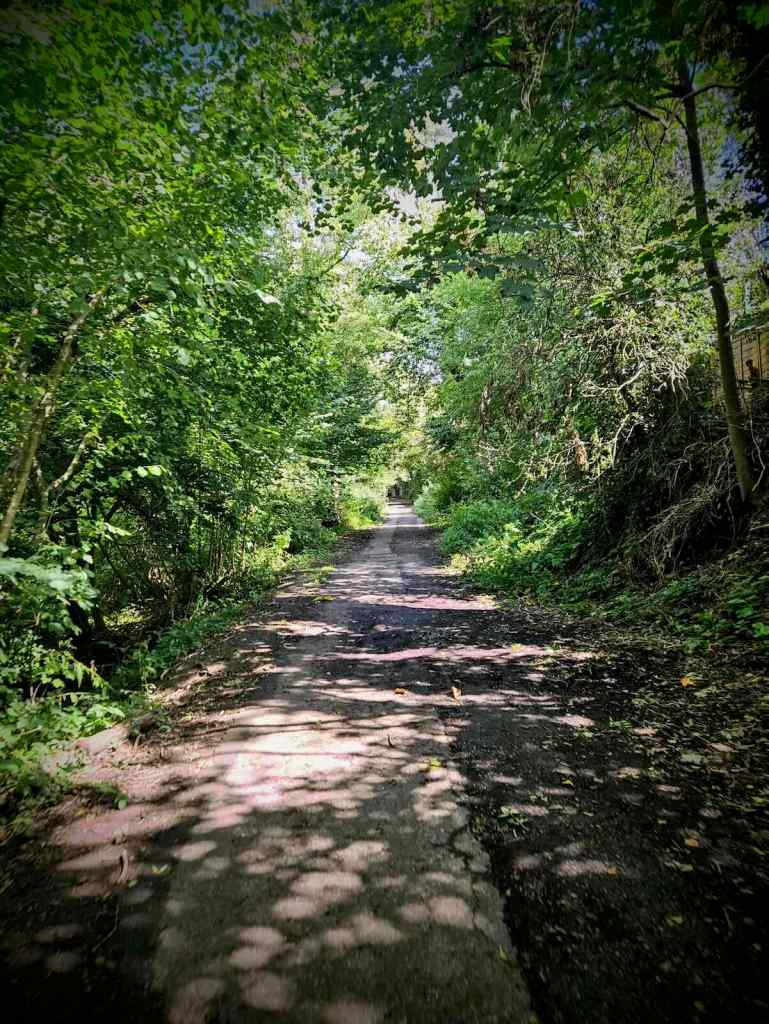 Path next to the River Len