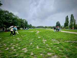 Looking across the park