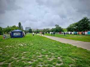 Looking across the park