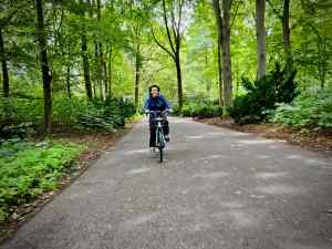 Riding in the Tiergarten