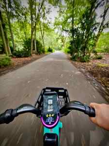 Riding in the Tiergarten
