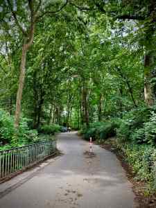 In the Tiergarten