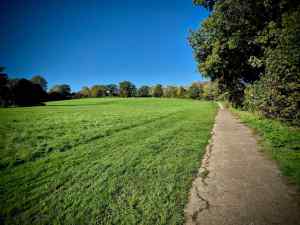 Path on the edge of Dukes Meadow