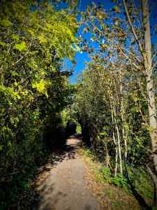 On the path near the Barn Farm