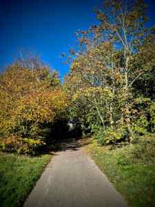 On the path near the University of Kent Canterbury Campus