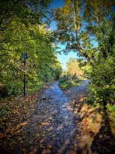 On the path at the edge of Canterbury