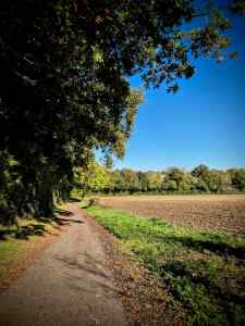 Riding along a gravel path next to farmland