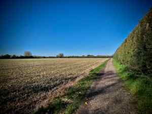 On a gravel path, passing through Amery Court Farm