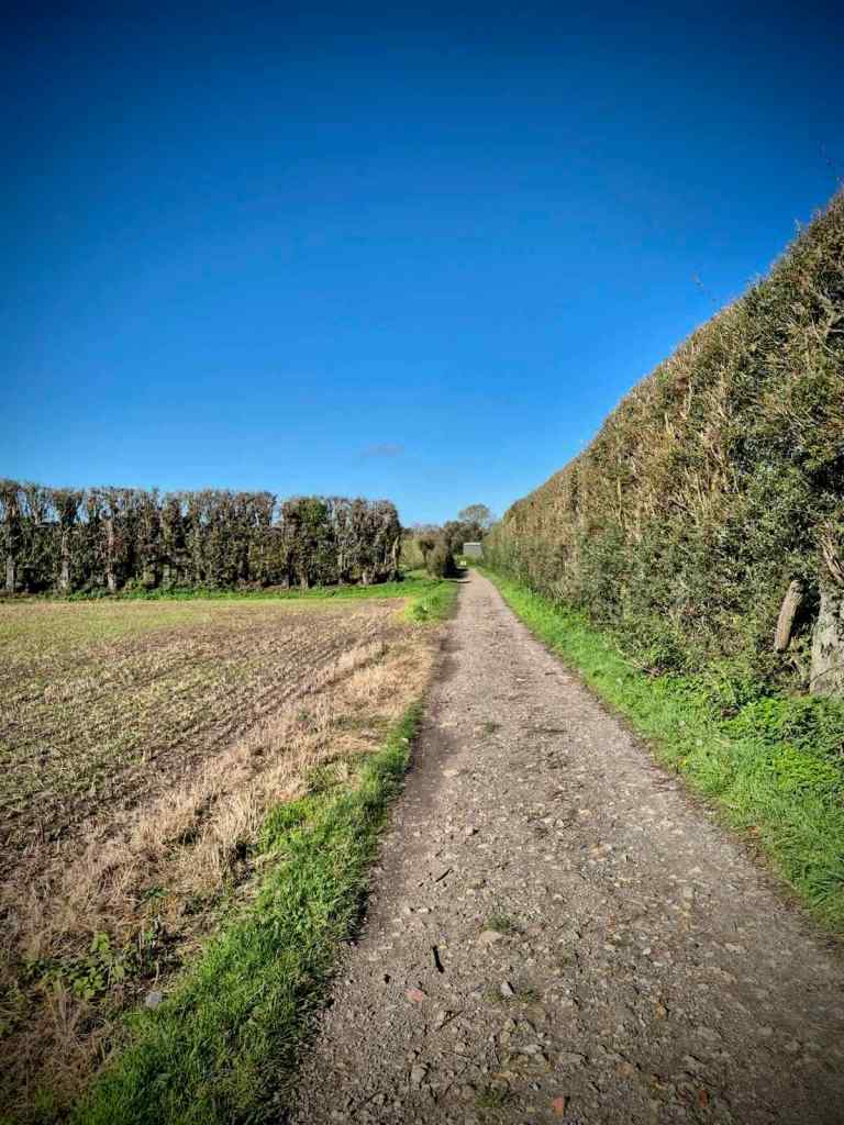 On a gravel path, passing through Amery Court Farm