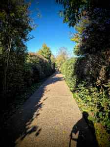 Straight concrete path