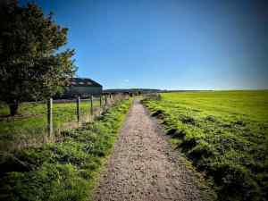 On the gravel path, just before South Street