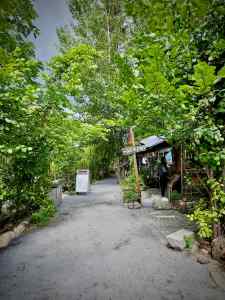 Wandering round Holzmarkt 25