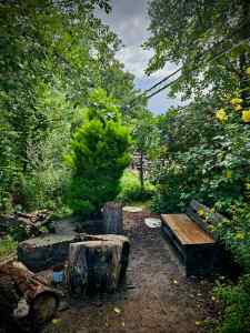 Seating surrounded by greenery