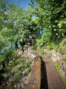 Trees and a long bench