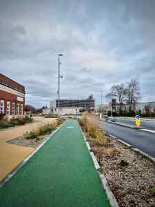 Straight section of path and SuDS planting next to the library