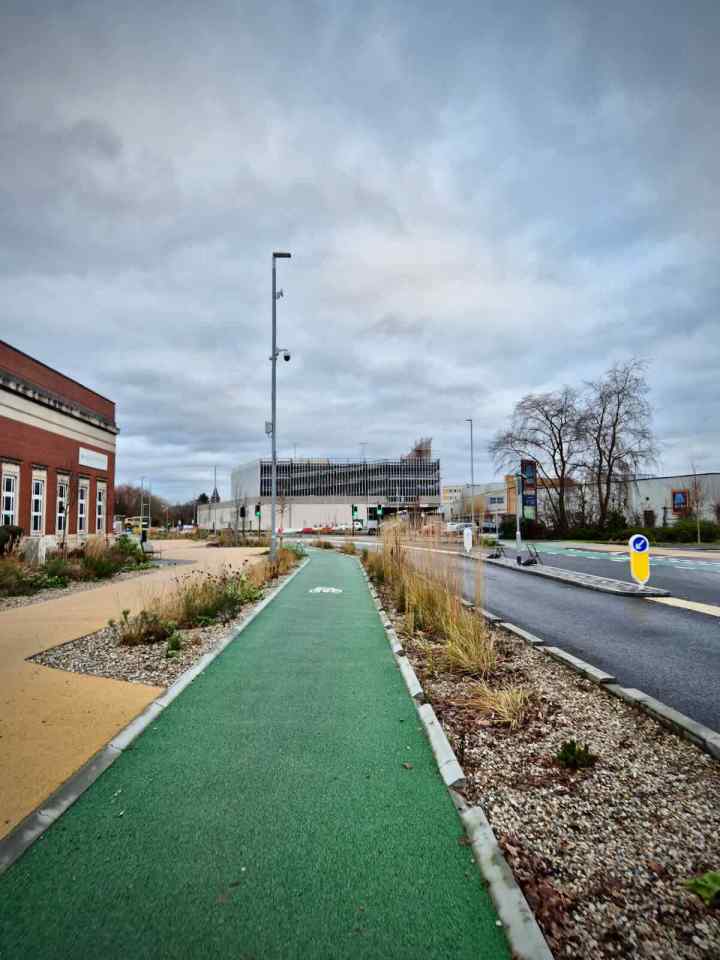 Straight section of path and SuDS planting next to the library