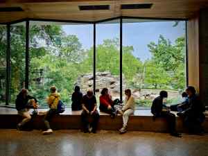 View of the zoo from Bikini Berlin shopping mall