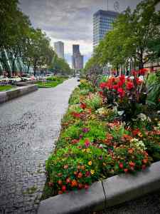 Planting on Tauentzienstraße