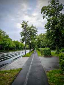 Cycle path on Hofjägerallee