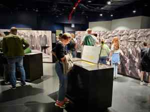 Looking across the museum