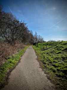 Path through Turn Moss