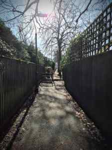 Path between South Drive and Hurstville Road, Chorlton