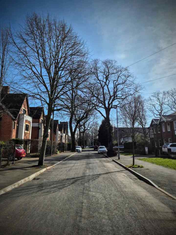 Darley Avenue